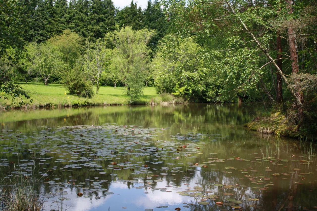 Spruce Lake Sauviat-sur-Vige 外观 照片